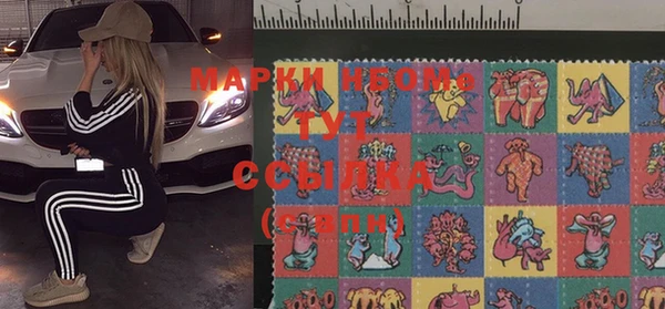 PSILOCYBIN Кодинск