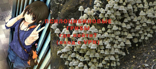 MDMA Козельск