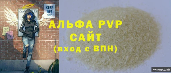 PSILOCYBIN Кодинск