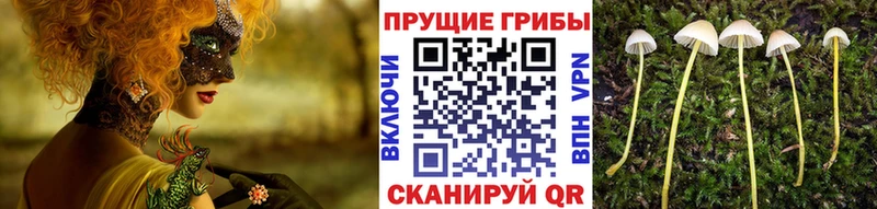 Псилоцибиновые грибы ЛСД  Альметьевск 