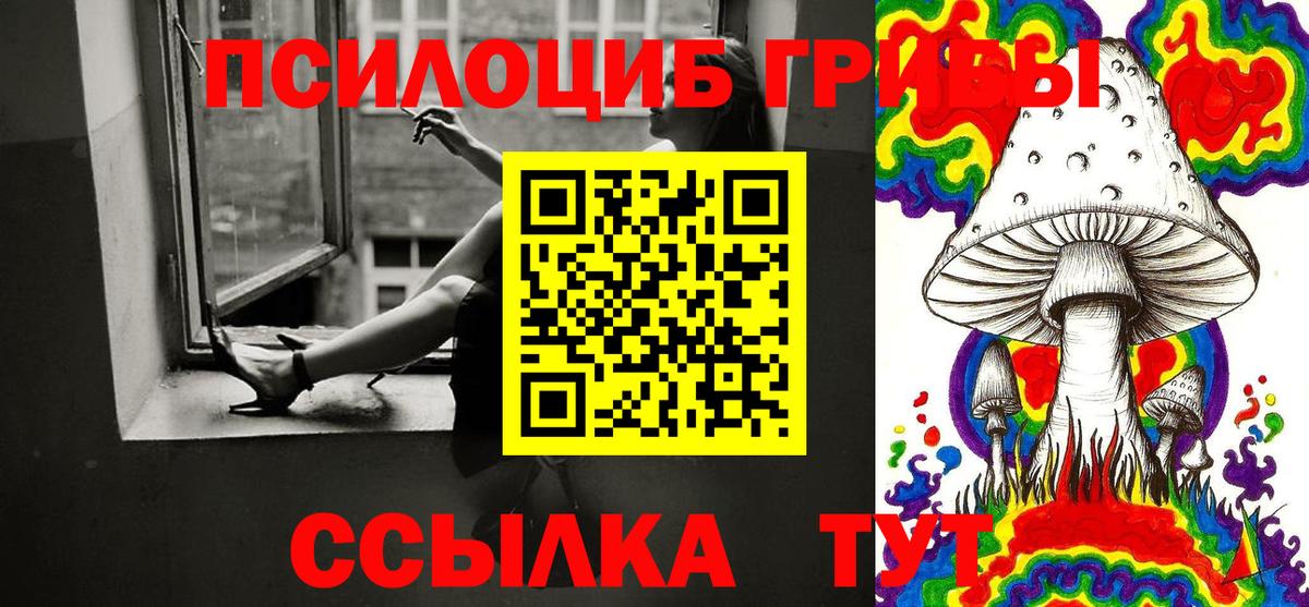 Галлюциногенные грибы Psilocybe  Альметьевск 