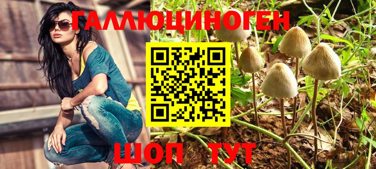 Галлюциногенные грибы GOLDEN TEACHER Альметьевск