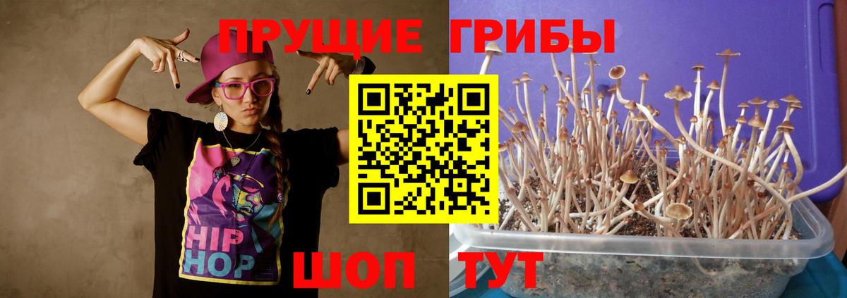 Альметьевск  Псилоцибиновые грибы MAGIC MUSHROOMS  Вход с VPN 