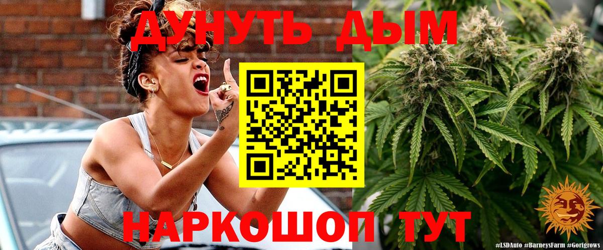 Каннабис сатива Альметьевск